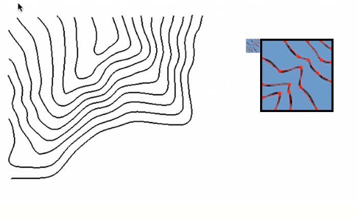 1491490448278731.jpg